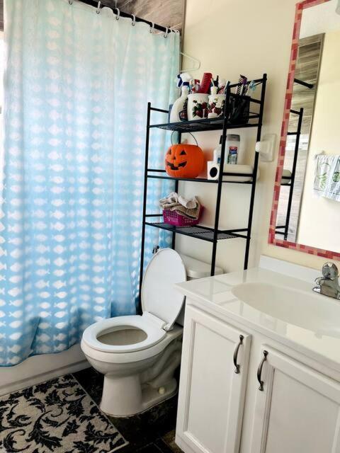Room In Citrus Park And Carollwood, Close To The Airport & Downtown تامبا المظهر الخارجي الصورة