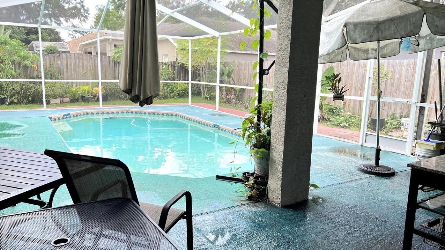 Room In Citrus Park And Carollwood, Close To The Airport & Downtown تامبا المظهر الخارجي الصورة